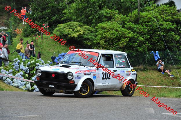 DSC_6566.JPG
